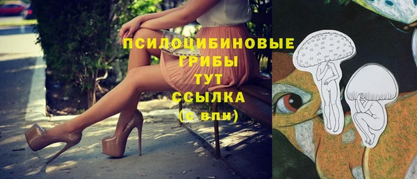 шишки Нижневартовск